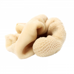 358_sutdana_iskembe Arka Planı Silindi