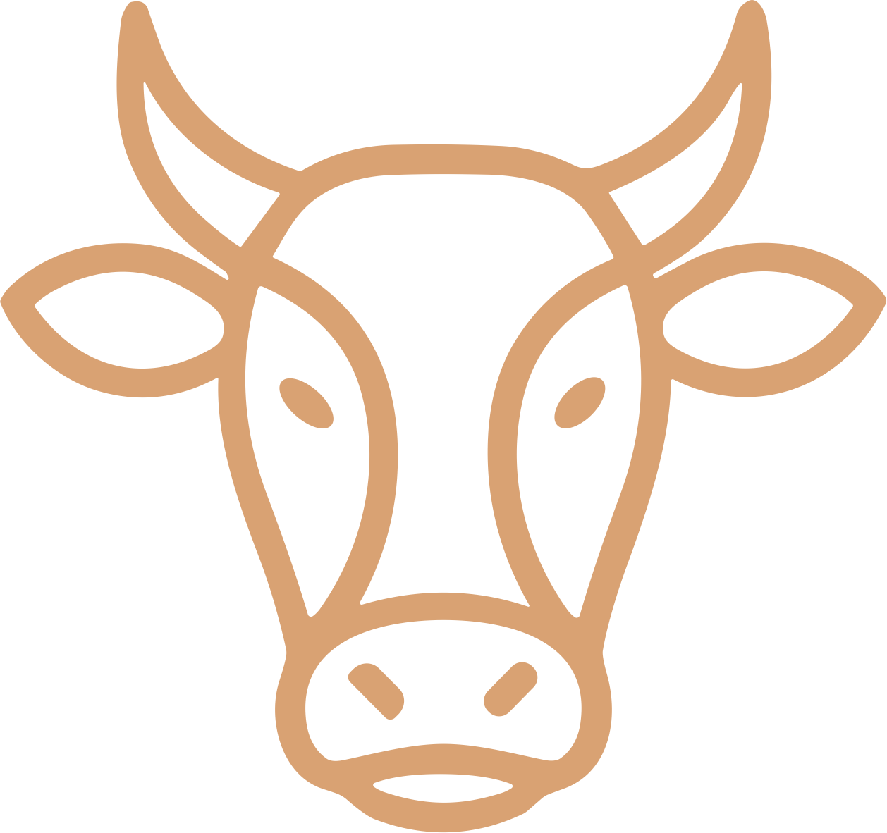 beef